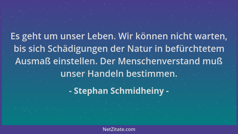 Stephan Schmidheiny - Es geht um unser Leben. Wir können nicht warten, bis sich Schädigungen der Natur in befürchtetem Ausm...