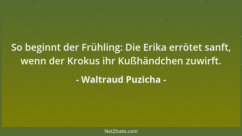 Waltraud Puzicha - So beginnt der Frühling: Die Erika errötet sanft, wenn der Krokus ihr Kußhändchen zuwirft....