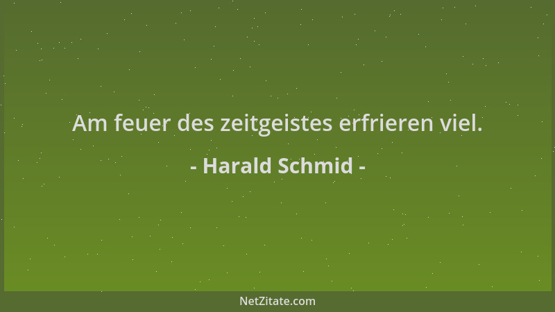 Harald Schmid - Am feuer des zeitgeistes erfrieren viel....