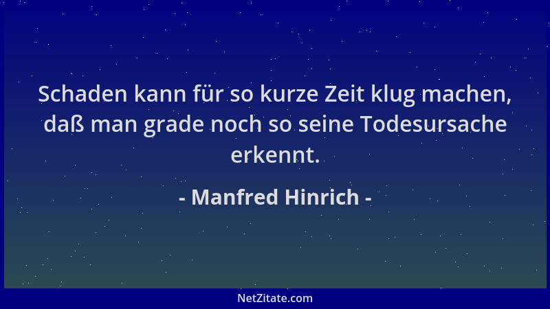 Manfred Hinrich - Schaden kann für so kurze Zeit klug machen, daß man grade noch so seine Todesursache erkennt....