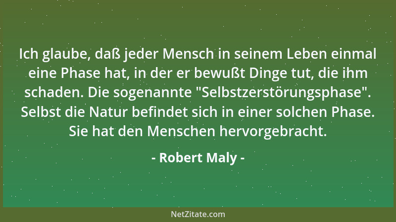 Robert Maly - Die Liebe. Was ist es nur mit dieser Liebe? So viele Zeilen über sie gelesen, so viele Male sie gesehen, so o...