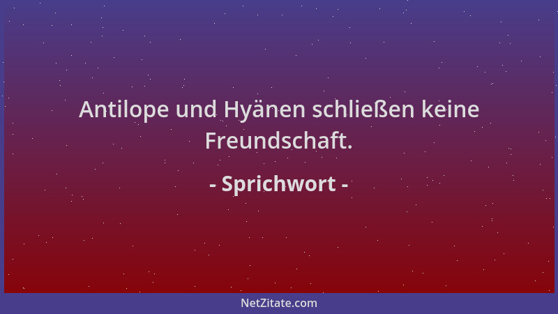 Sprichwort - Antilope und Hyänen schließen keine Freundschaft....