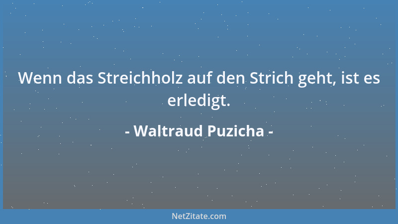 Waltraud Puzicha - Wenn das Streichholz auf den Strich geht, ist es erledigt....
