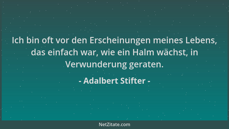 Adalbert Stifter - Ich bin oft vor den Erscheinungen meines Lebens, das einfach war, wie ein Halm wächst, in Verwunderung g...