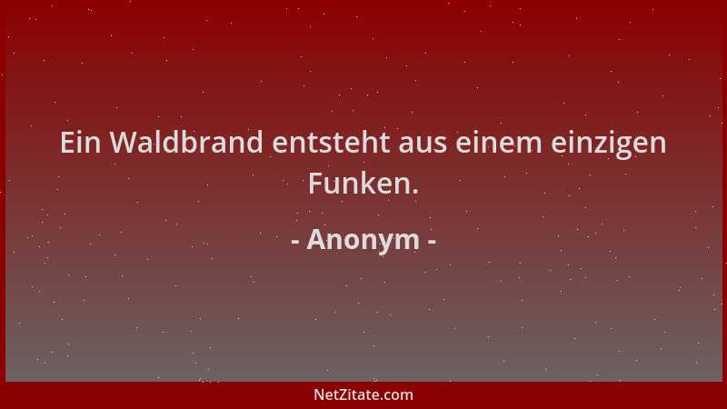 Anonym - Ein Waldbrand entsteht aus einem einzigen Funken....
