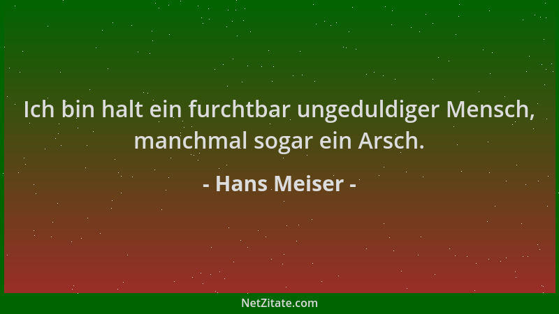 Hans Meiser - Ich bin halt ein furchtbar ungeduldiger Mensch, manchmal sogar ein Arsch....