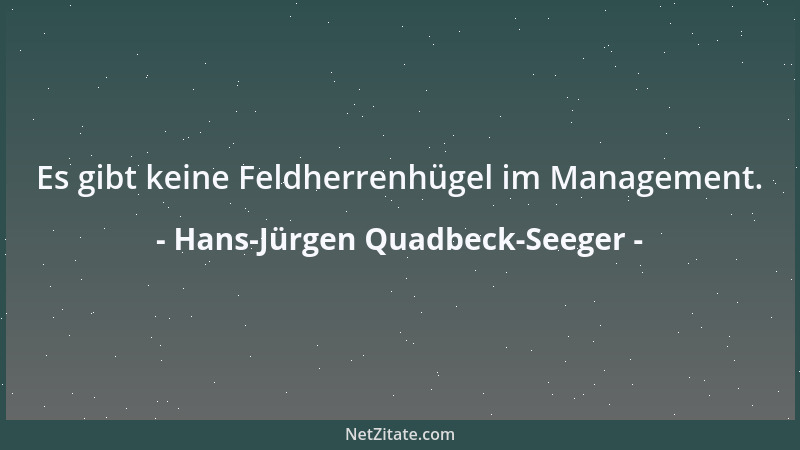 Hans-Jürgen Quadbeck-Seeger - Es gibt keine Feldherrenhügel im Management....