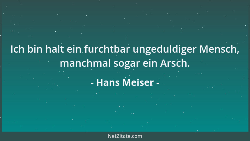 Hans Meiser - Ich bin halt ein furchtbar ungeduldiger Mensch, manchmal sogar ein Arsch....