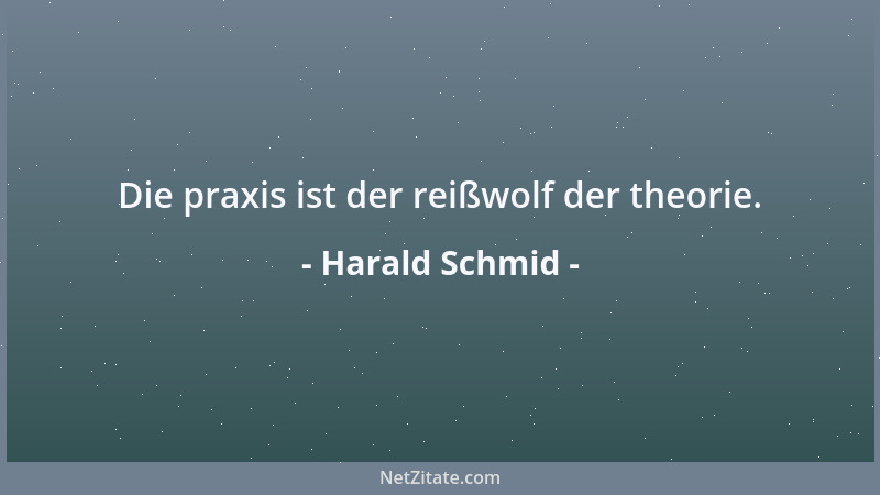 Harald Schmid - Die praxis ist der reißwolf der theorie....