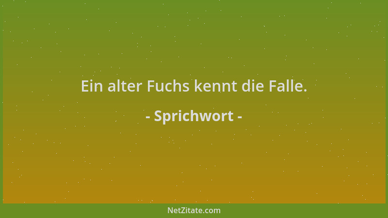 Sprichwort - Ein alter Fuchs kennt die Falle....