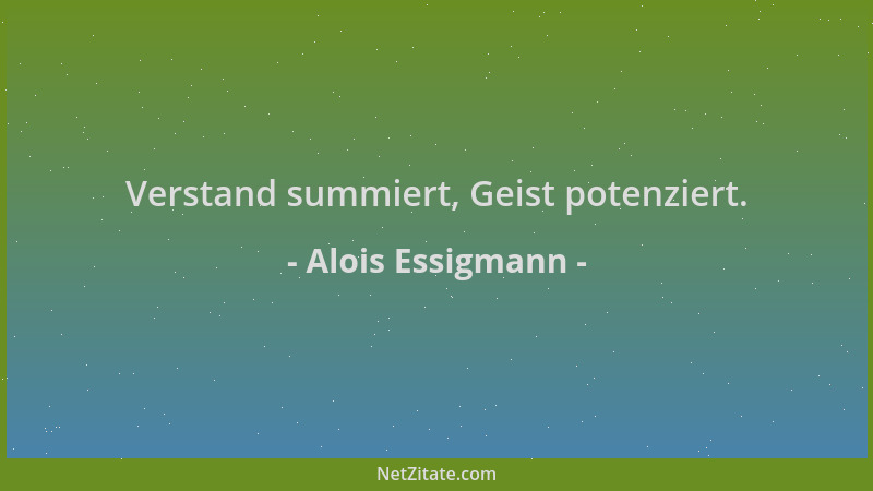 Alois Essigmann - Verstand summiert, Geist potenziert....