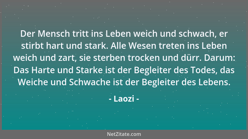 Laozi - Tue nichts und alles ist getan....
