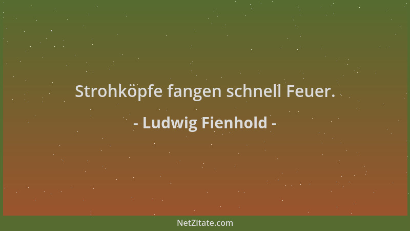 Ludwig Fienhold - Strohköpfe fangen schnell Feuer....