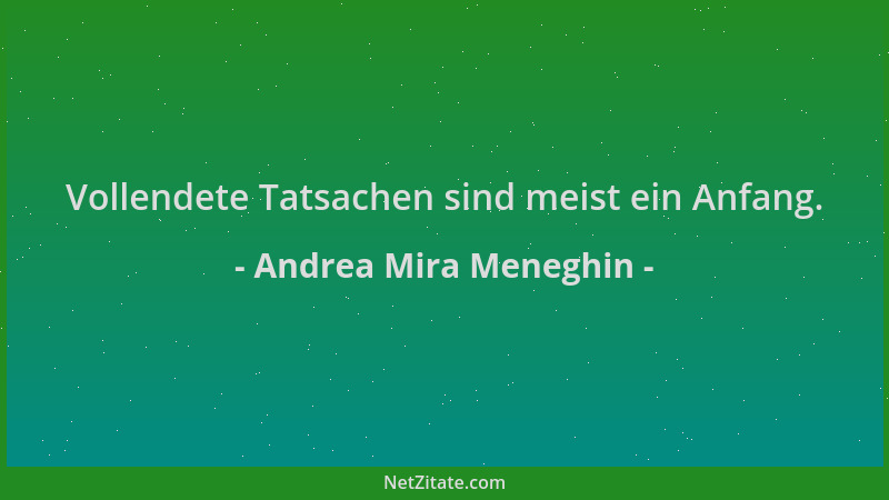 Andrea Mira Meneghin - Vollendete Tatsachen sind meist ein Anfang....