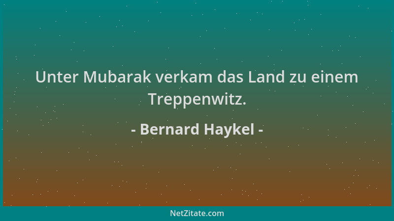 Bernard Haykel - Unter Mubarak verkam das Land zu einem Treppenwitz....