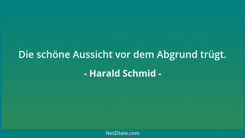 Harald Schmid - Die schöne Aussicht vor dem Abgrund trügt....
