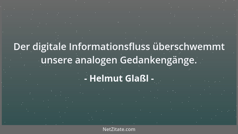 Helmut Glaßl - Der digitale Informationsfluss überschwemmt unsere analogen Gedankengänge....