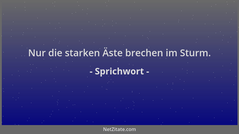 Sprichwort - Nur die starken Äste brechen im Sturm....