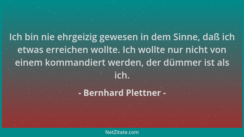 Bernhard Plettner - Ich bin nie ehrgeizig gewesen in dem Sinne, daß ich etwas erreichen wollte. Ich wollte nur nicht von ei...