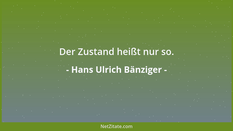 Hans Ulrich Bänziger - Der Zustand heißt nur so....