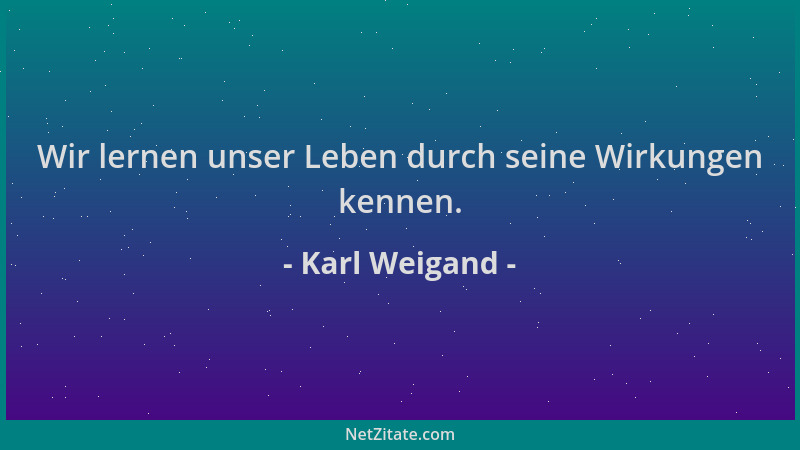 Karl Weigand - Wir lernen unser Leben durch seine Wirkungen kennen....