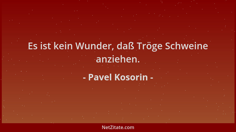 Pavel Kosorin - Es ist kein Wunder, daß Tröge Schweine anziehen....