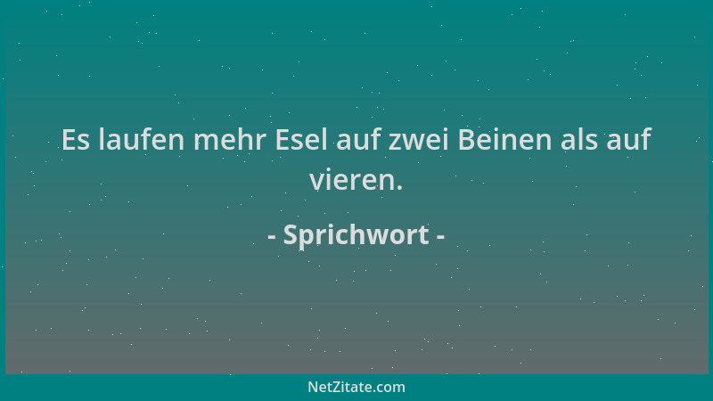 Sprichwort - Es laufen mehr Esel auf zwei Beinen als auf vieren....