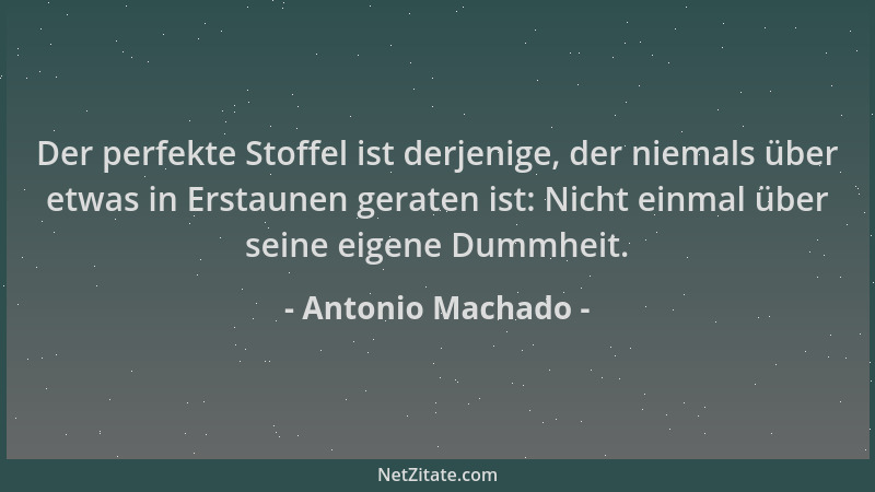 Antonio Machado - Der perfekte Stoffel ist derjenige, der niemals über etwas in Erstaunen geraten ist: Nicht einmal über se...