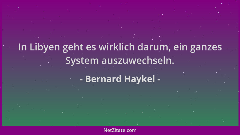 Bernard Haykel - In Libyen geht es wirklich darum, ein ganzes System auszuwechseln....