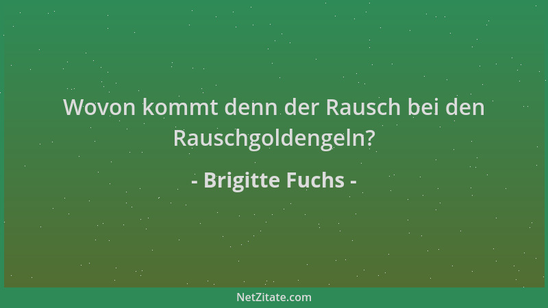 Brigitte Fuchs - Wovon kommt denn der Rausch bei den Rauschgoldengeln?...