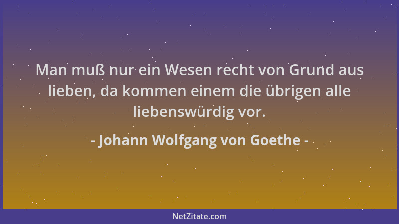 Johann Wolfgang von Goethe - Man muß nur ein Wesen recht von Grund aus lieben, da kommen einem die übrigen alle liebenswürd...