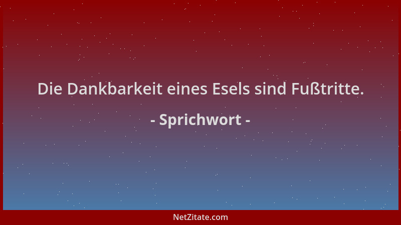 Sprichwort - Die Dankbarkeit eines Esels sind Fußtritte....