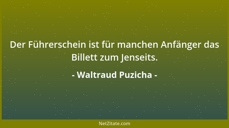 Waltraud Puzicha - Der Führerschein ist für manchen Anfänger das Billett zum Jenseits....