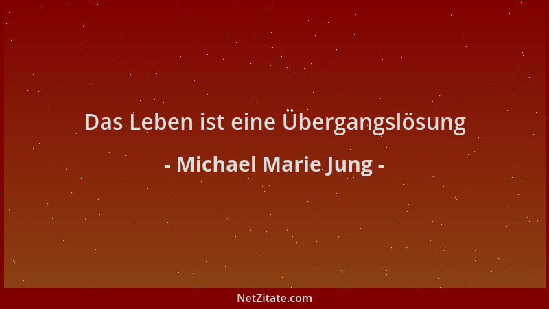 Michael Marie Jung - Das Leben ist eine Übergangslösung...