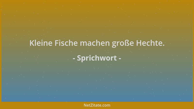 Sprichwort - Kleine Fische machen große Hechte....