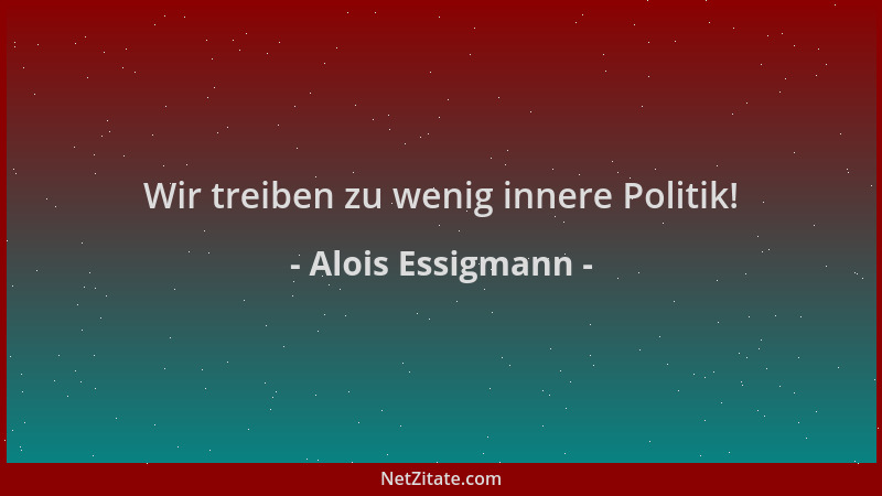 Alois Essigmann - Wir treiben zu wenig innere Politik!...