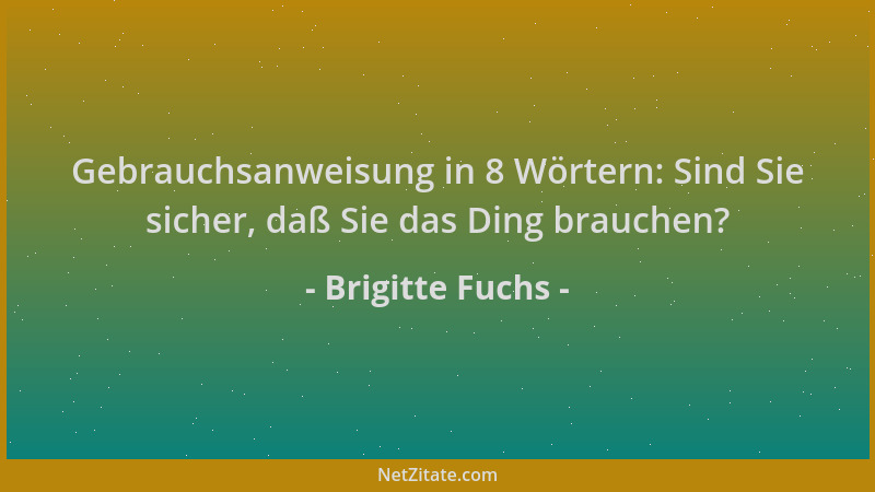 Brigitte Fuchs - Gebrauchsanweisung in 8 Wörtern: Sind Sie sicher, daß Sie das Ding brauchen?...
