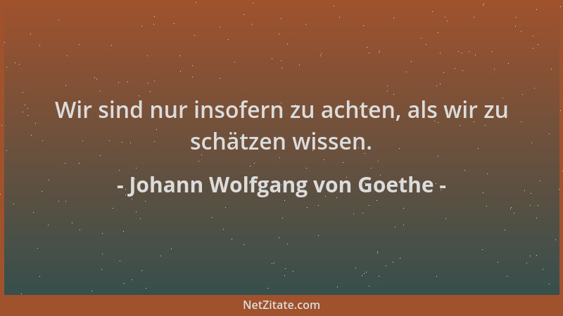 Johann Wolfgang von Goethe - Wir sind nur insofern zu achten, als wir zu schätzen wissen....