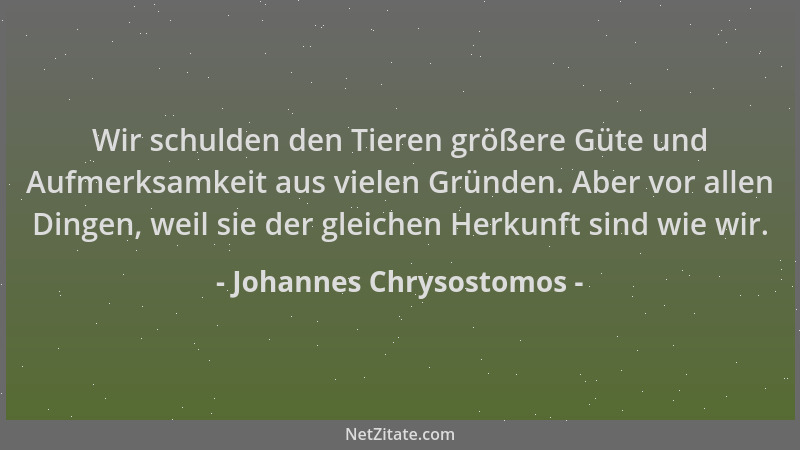 Johannes Chrysostomos - Wir schulden den Tieren größere Güte und Aufmerksamkeit aus vielen Gründen. Aber vor allen Dingen,...