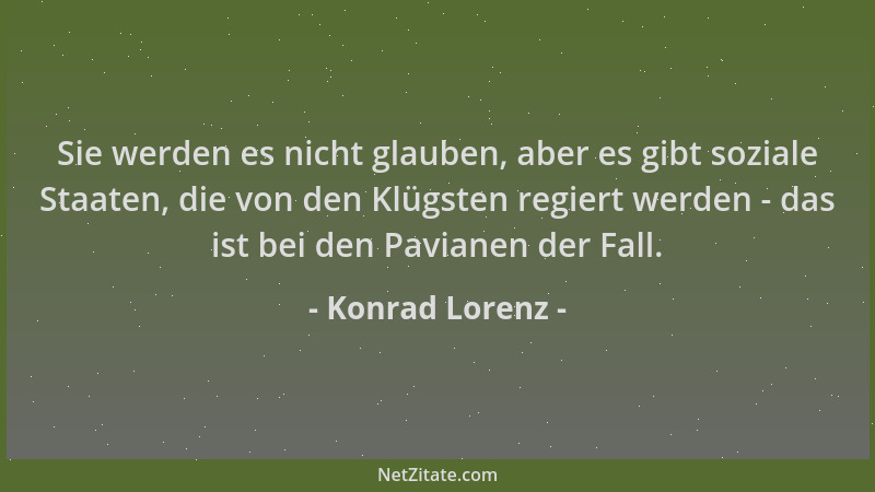 Konrad Lorenz - Sie werden es nicht glauben, aber es gibt soziale Staaten, die von den Klügsten regiert werden - das ist be...