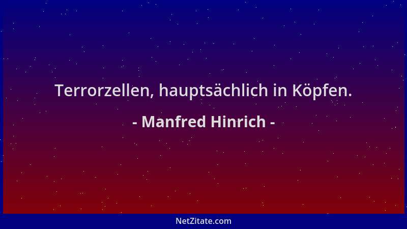 Manfred Hinrich - Terrorzellen, hauptsächlich in Köpfen....