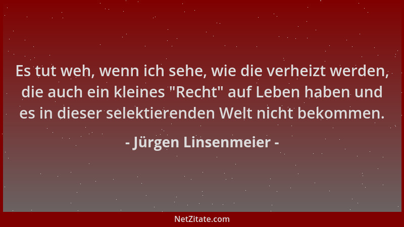 Jürgen Linsenmeier - Es tut weh, wenn ich sehe, wie die verheizt werden, die auch ein kleines "Recht " auf Leben haben und e...