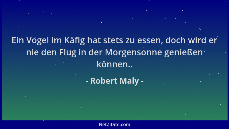 Robert Maly - Ein Vogel im Käfig hat stets zu essen, doch wird er nie den Flug in der Morgensonne genießen können.....