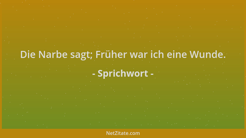Sprichwort - Die Narbe sagt; Früher war ich eine Wunde....