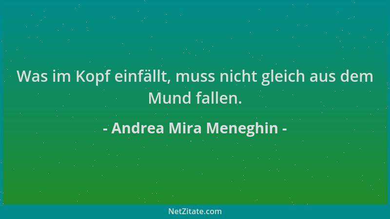 Andrea Mira Meneghin - Was im Kopf einfällt, muss nicht gleich aus dem Mund fallen....