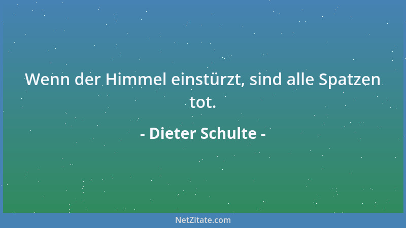 Dieter Schulte - Wenn der Himmel einstürzt, sind alle Spatzen tot....