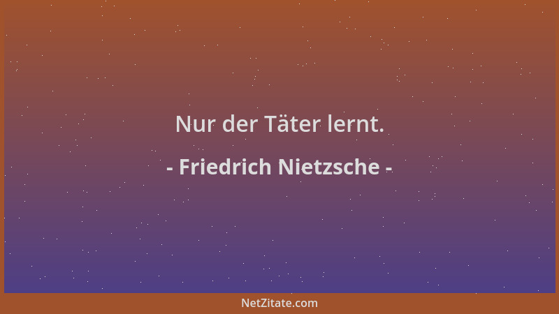 Friedrich Nietzsche - Nur der Täter lernt....