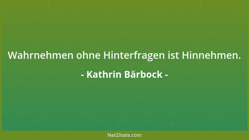 Kathrin Bärbock - Wahrnehmen ohne Hinterfragen ist Hinnehmen....