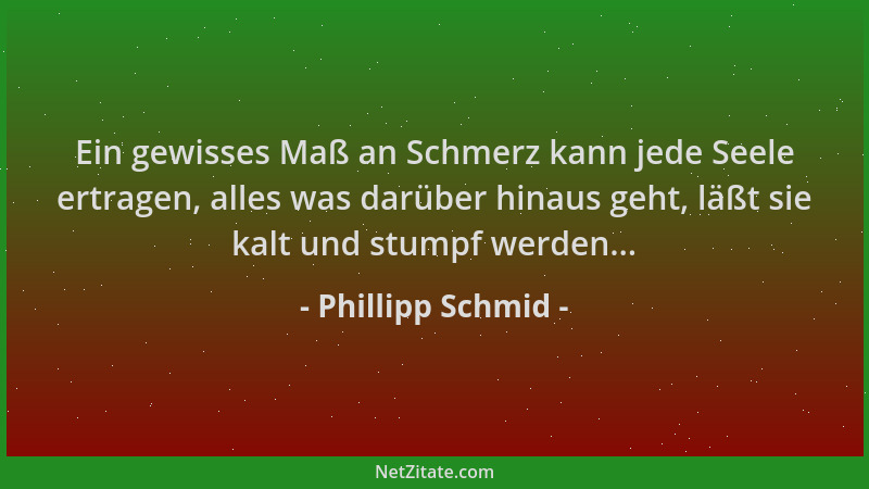 Phillipp Schmid - Ein gewisses Maß an Schmerz kann jede Seele ertragen, alles was darüber hinaus geht, läßt sie kalt und st...