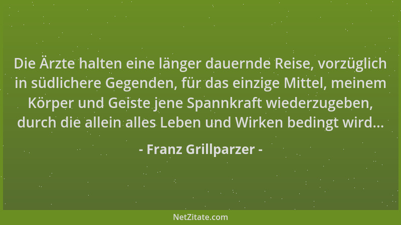 Franz Grillparzer - Die Ärzte halten eine länger dauernde Reise, vorzüglich in südlichere Gegenden, für das einzige Mittel,...